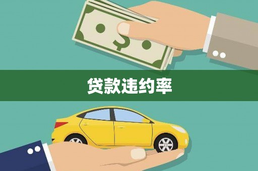 宝清贷款违约率