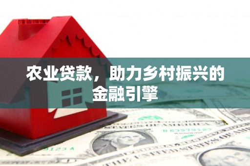 宝清农业贷款，助力乡村振兴的金融引擎