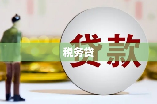 宝清税务贷