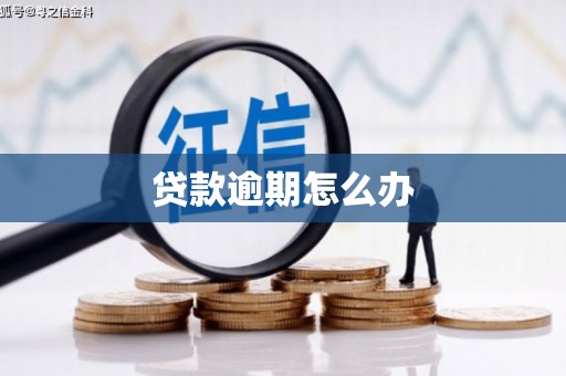 宝清贷款逾期怎么办