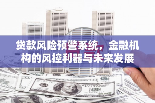 宝清贷款风险预警系统，金融机构的风控利器与未来发展