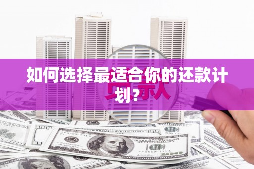 宝清如何选择最适合你的还款计划？