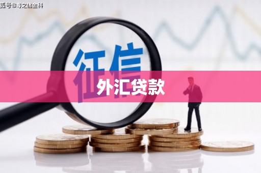 宝清外汇贷款