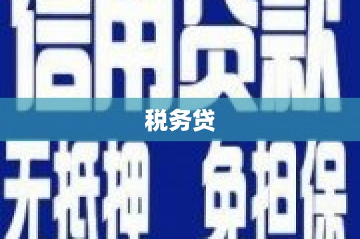 宝清税务贷