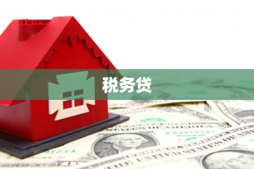 宝清税务贷