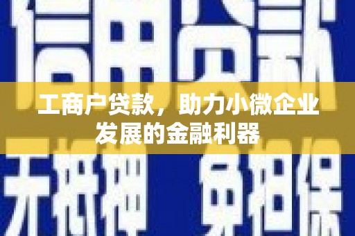 宝清工商户贷款，助力小微企业发展的金融利器
