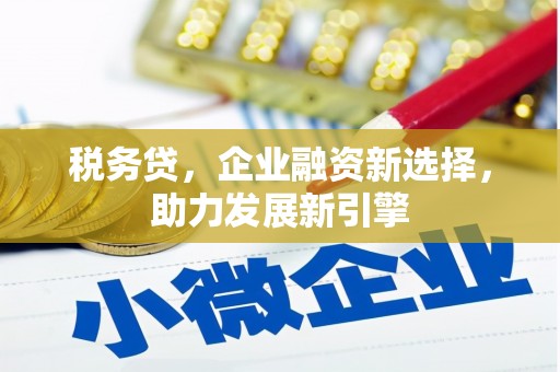 宝清税务贷，企业融资新选择，助力发展新引擎