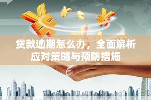 宝清贷款逾期怎么办，全面解析应对策略与预防措施