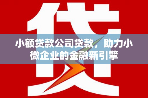 宝清小额贷款公司贷款，助力小微企业的金融新引擎