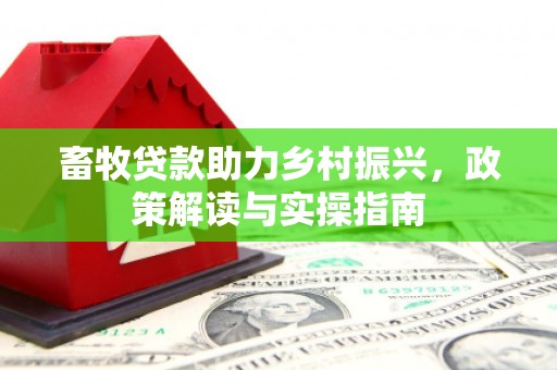 宝清畜牧贷款助力乡村振兴，政策解读与实操指南