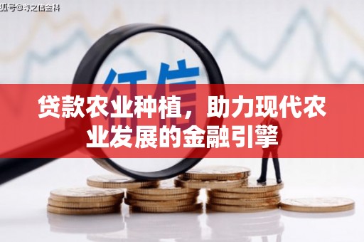 宝清贷款农业种植，助力现代农业发展的金融引擎