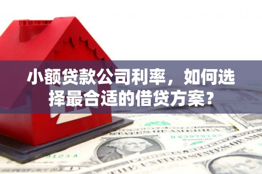 宝清小额贷款公司利率，如何选择最合适的借贷方案？