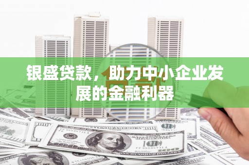 宝清银盛贷款，助力中小企业发展的金融利器