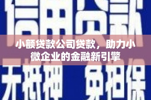宝清小额贷款公司贷款，助力小微企业的金融新引擎
