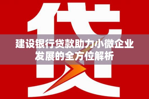 宝清建设银行贷款助力小微企业发展的全方位解析