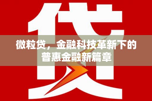 宝清微粒贷，金融科技革新下的普惠金融新篇章