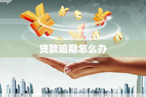 宝清贷款逾期怎么办