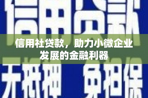 宝清信用社贷款，助力小微企业发展的金融利器