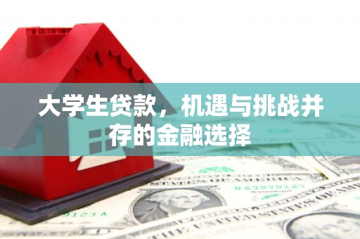 宝清大学生贷款，机遇与挑战并存的金融选择