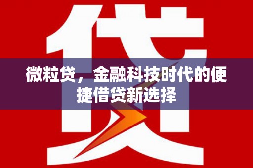 宝清微粒贷，金融科技时代的便捷借贷新选择
