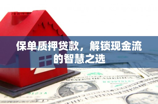 宝清保单质押贷款，解锁现金流的智慧之选