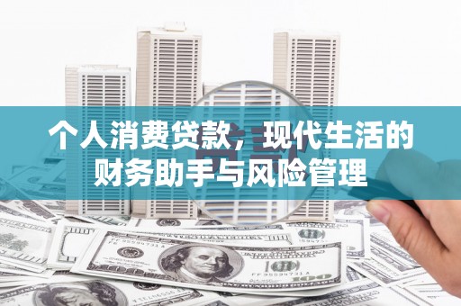 宝清个人消费贷款，现代生活的财务助手与风险管理