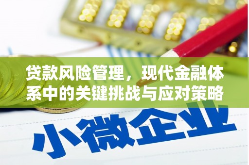 宝清贷款风险管理，现代金融体系中的关键挑战与应对策略