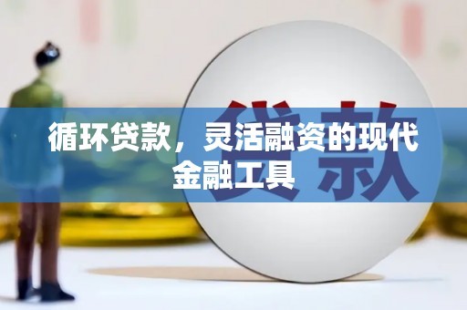 宝清循环贷款，灵活融资的现代金融工具
