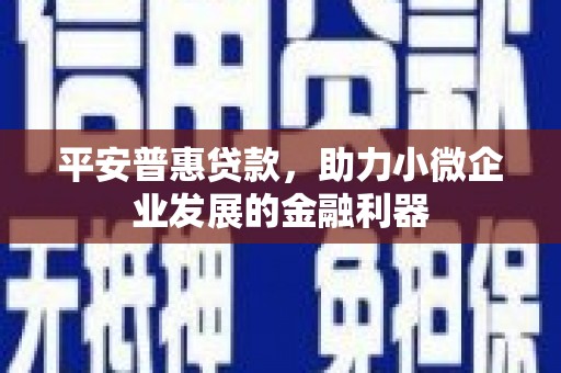 宝清平安普惠贷款，助力小微企业发展的金融利器